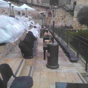 פטריות חימום להשכרה- רנטפרו